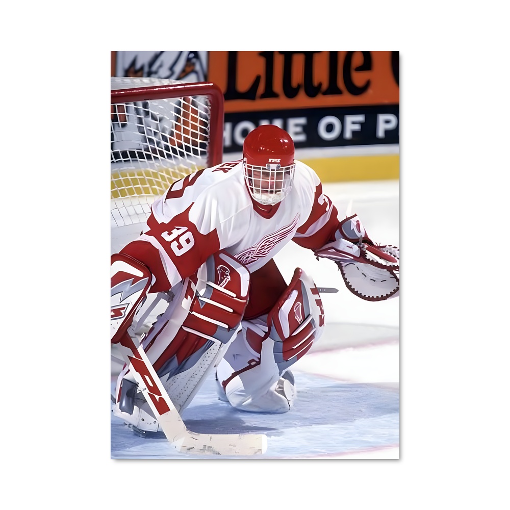 Poster La Légende de Hasek